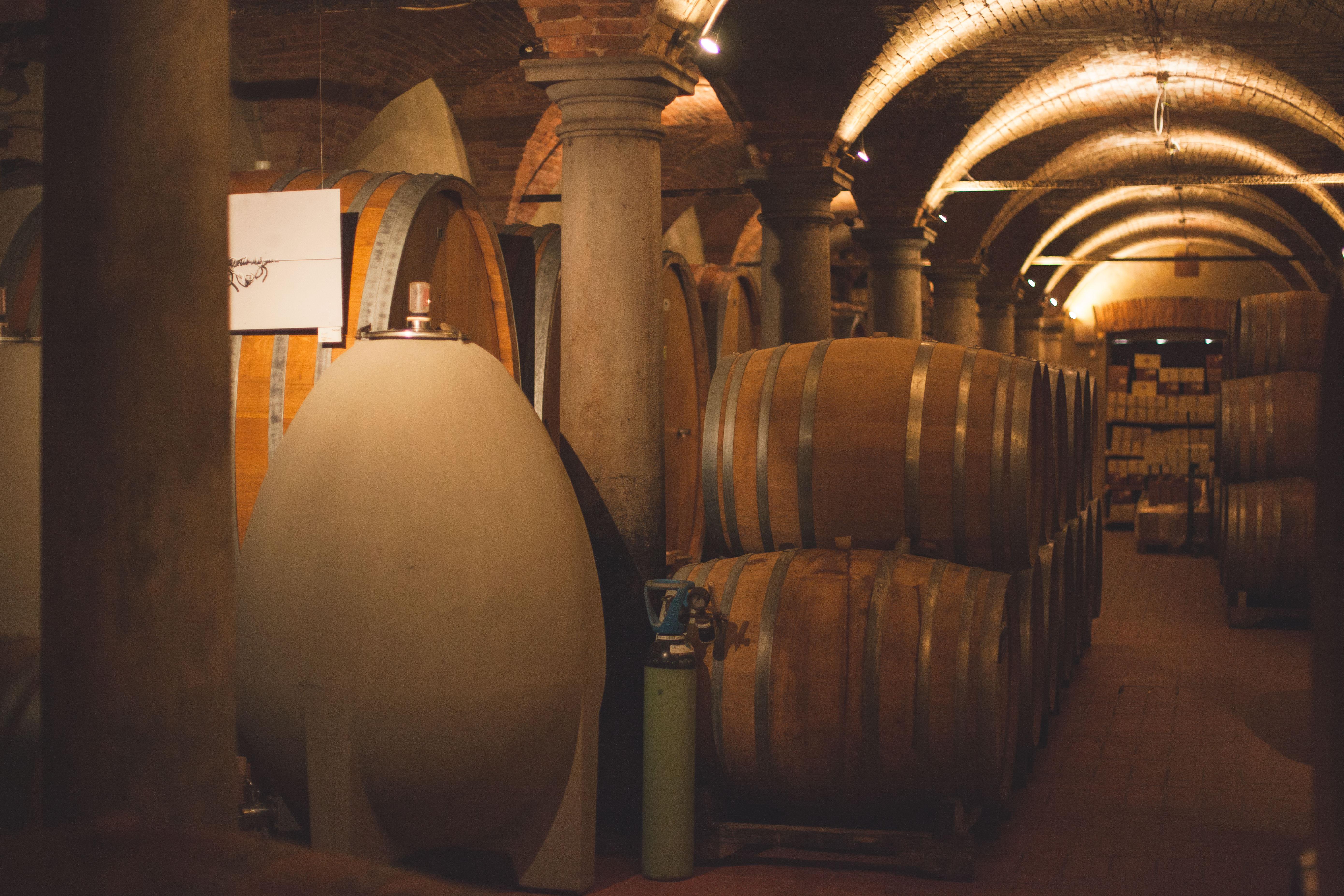Musella Winery & Relais Affittacamere San Martino Buon Albergo Esterno foto